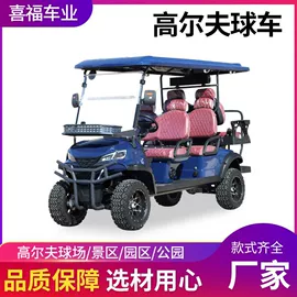 电动观光车;其他电动车