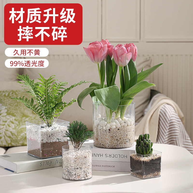桌面水培植物器皿亚克力绿萝水养绿植方缸创意透明花瓶多肉专用盆