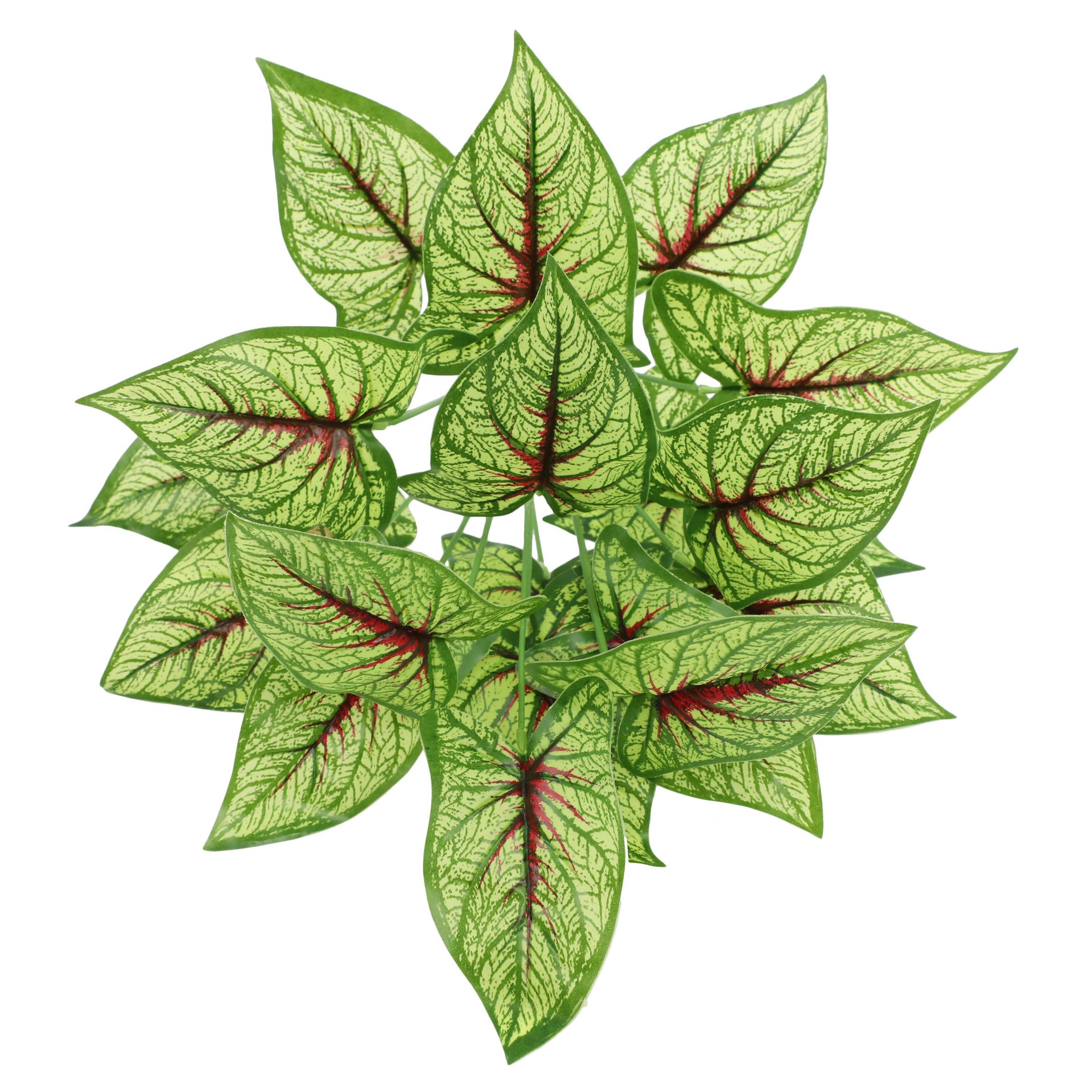 YH192-2#-细节图 (2).jpg