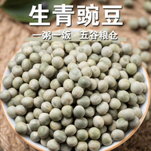 �����㶹��؛���㶹����s�Z�������Q���ɰlѿ��ѿ�� �㶹��f