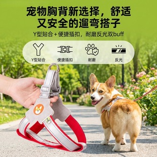 �ر������K���޹��K���������KС��Ȯ����ʽ������ƷС��Ȯ͸��