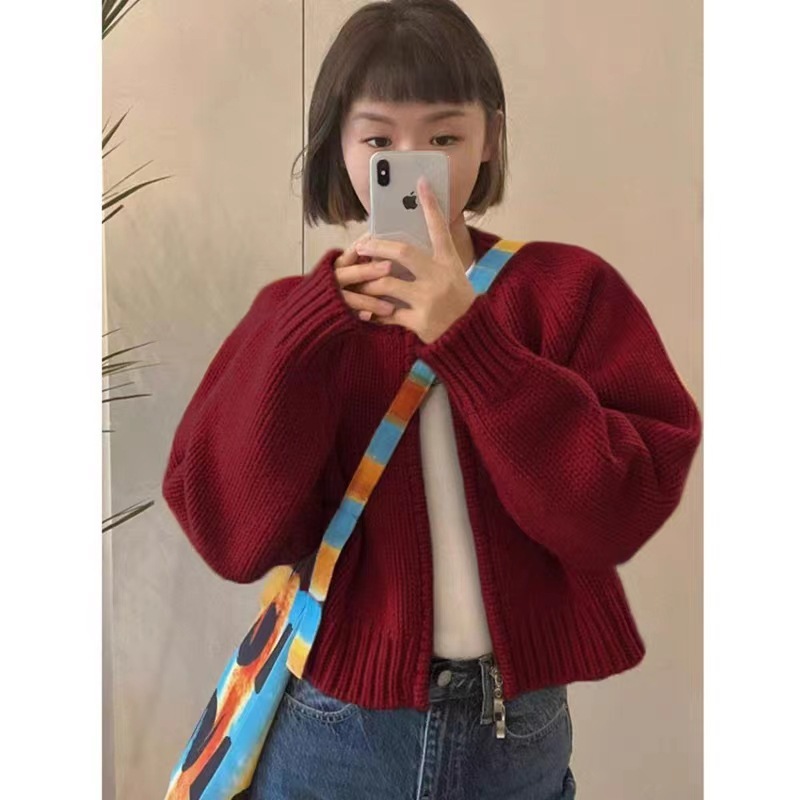 2025秋冬新款宽松灰色短款毛衣外套女装加厚拉链长袖针织开衫上衣|undefined