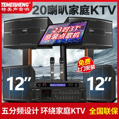 特美声新型家庭ktv音響セット家庭用歌カラオケ点歌機重低音k歌スピーカー