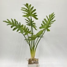 7�^��������Gֲ�ָ�ܛ�z�~�Ӵ����~�ٻ��Ҿ�ܛ�b�~�Ӳ廨���l