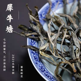 2025帕沙犀牛塘头春古树生普云南勐海普洱茶生茶500g花蜜香茶批发