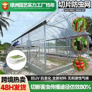 �羳���x�W��Ƭ��ƴ�ӷ��x�W���R�d�����r��ֲ��@ˇ������x�W