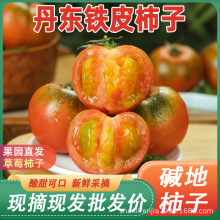 ���|�}�|���FƤ�������ڲ�ݮ���ӾG���|�����������t��ˮ������