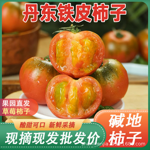 ���|�}�|���FƤ�������ڲ�ݮ���ӾG���|�����������t��ˮ������