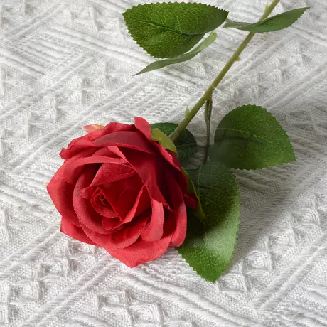 Red (silk cloth version)