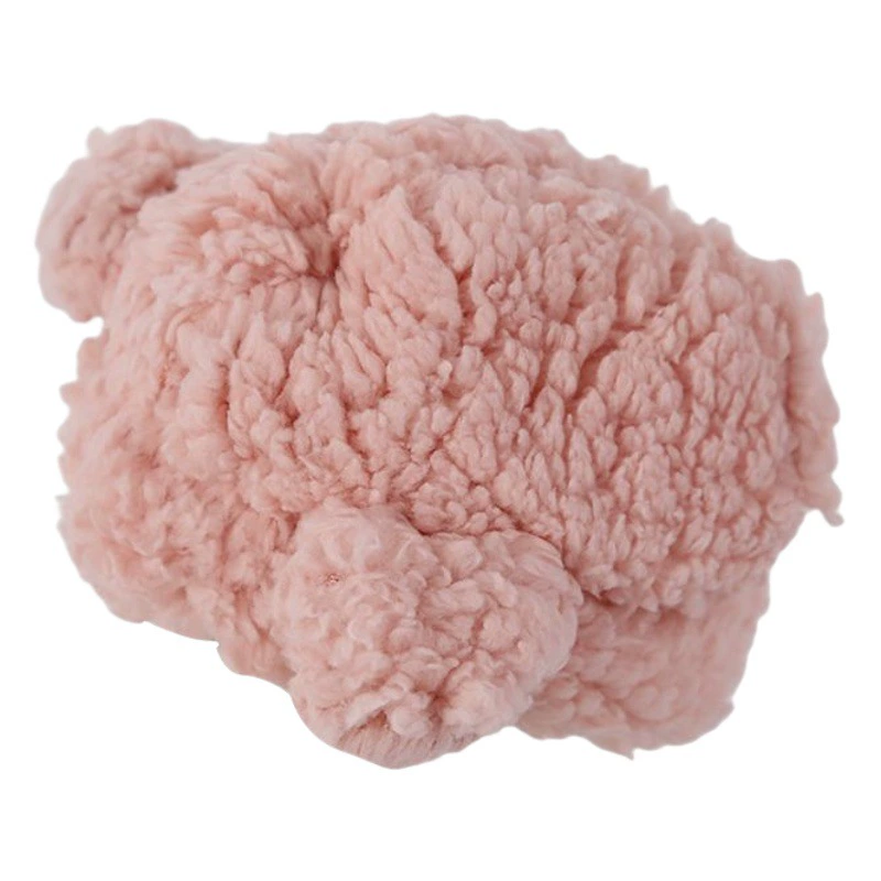 Домашняя собака Бишон Тедди Интернет-головные уборы знаменитостей милая переодевающаяся шапка-копилка кошка милые фото головные уборы осень и зима