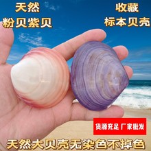 ��Ȼ�p���ϸ�ؐ���������l�����~���b[�O��ˇƷ ����ϵ