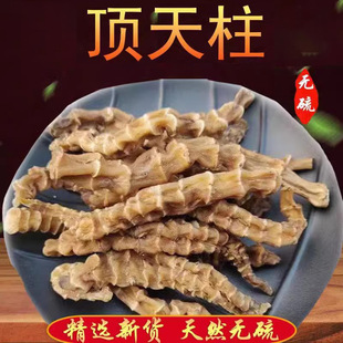 ����� ���������x�݅����ϲݻ�ꖲ���ꖲݬF؛���l���l