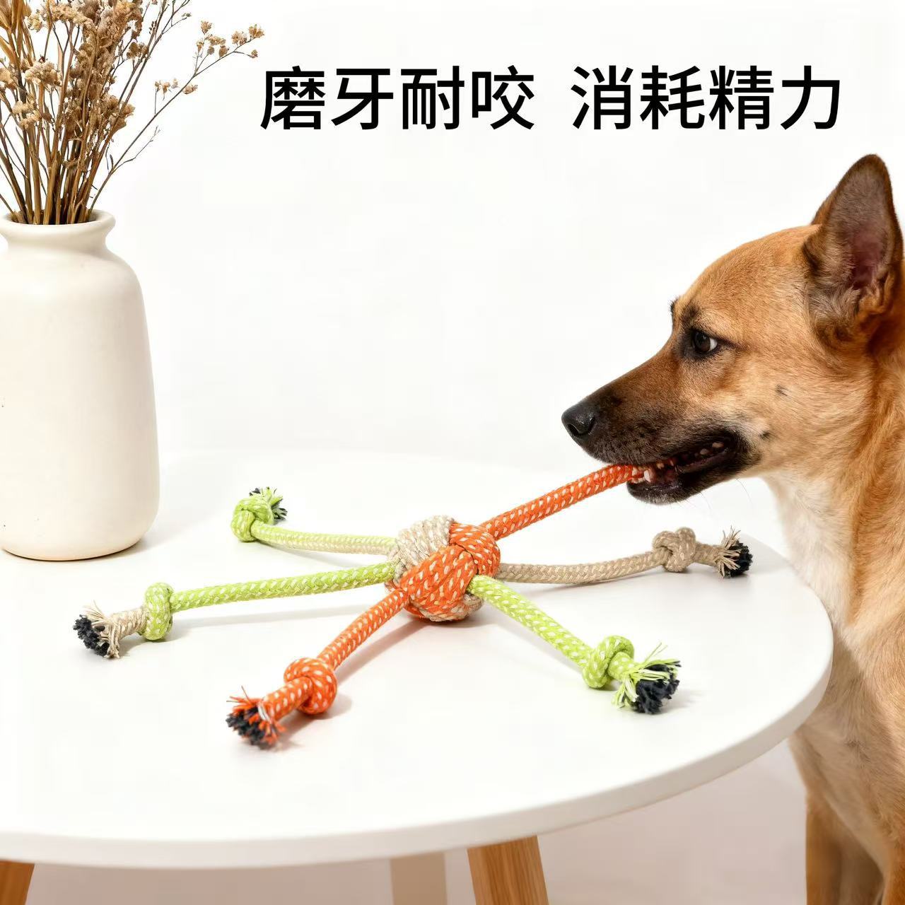 Nuevos juguetes de mascotas transfronterizas, dientes molares resistentes a la mordida, juguetes de cuerda de algodón, juguetes para perros pequeños y medianos. image 4