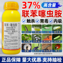 37%xxER׷ʭxrșx