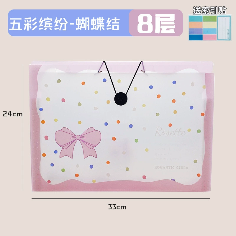 Capacious organ, multilayer bag for documents, storage system, folder for folders