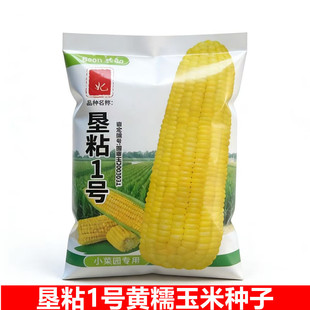 ���ߴ�9x12cm���m����ճ1̖�Sɫ���׷N�������ѷN��@�Nֲ�S��