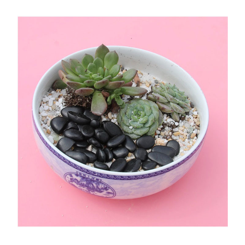 ֱɫʯ | 30-50mmˮϴ׹⾰ʯ̵װô