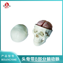 �����^�ǎ�8�����X���}ģ���^�B��ģ�ͳ����^��ģ�����t�^ģ��
