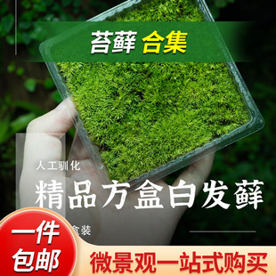 苏州空城里生态景观有限公司