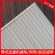厂家直销聚酯螺旋网带 污泥脱水处理滤布 造纸烘缸网 食品传送带