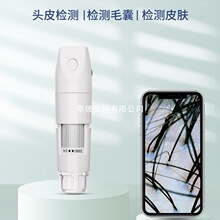 �^Ƥ������ë��ë���^Ƥ�z�y�x�����lÓ�lĘ��Ƥ�w�yԇ�x����Ժ