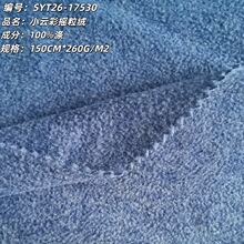 厂家直销新款260g小云彩摇粒绒布料 春秋居家服卫衣面料 双刷双摇
