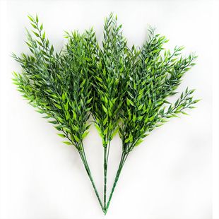 �羳�S�����l����ֲ������̿����l�^�����Ɍ��Ƶ��҃���G������