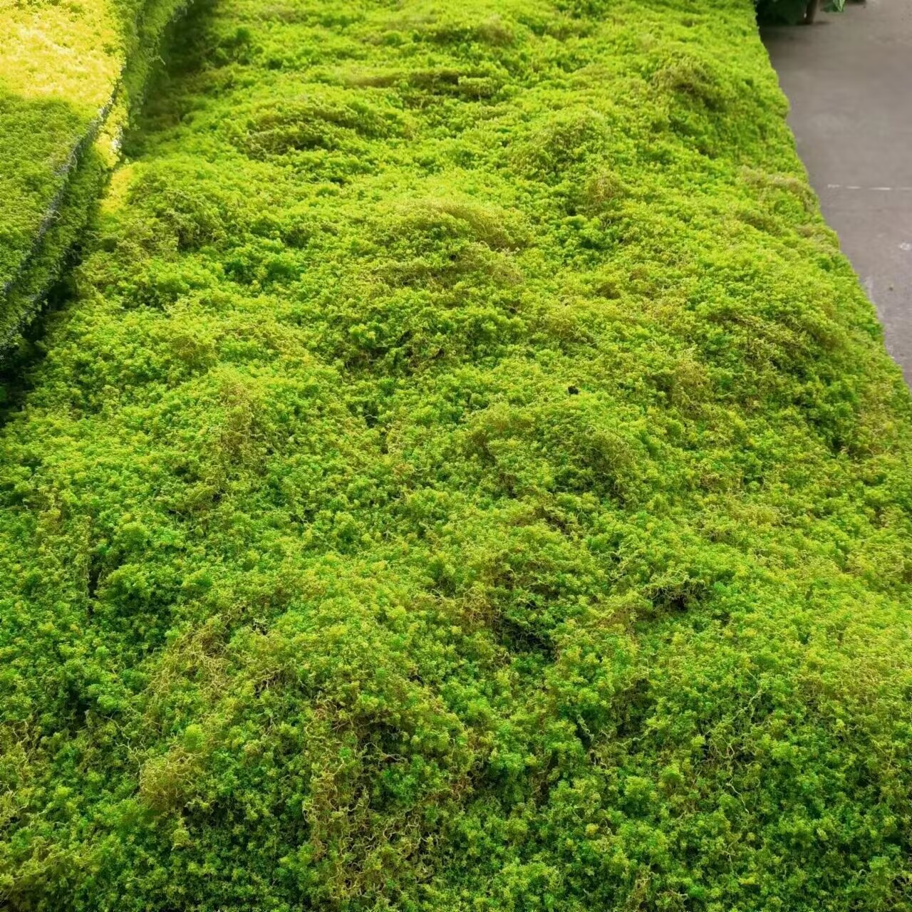 QQ图片20230502142131