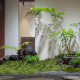 simulation moss fake moss silk wool turf landscaping green plant micro landscape ornaments lawn bonsai bonsai decoration