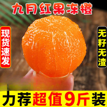 水澜丞水澜丞湖北九月红新鲜橙子9斤大果应当季水果整箱甜橙果冻