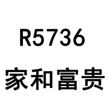 新款5D钻石绣点贴钻家和富贵十字绣钻石画客厅满钻简约牡丹钻石画