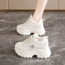 ښWβγβ؛ٴϵЬŮreЬ\Ь