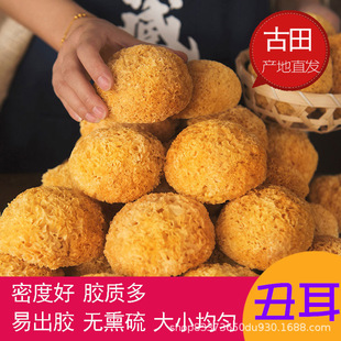 ���x������  500g�y������ľ��Ŵ�����zܛŴ�����S��ʳ�þ���؛