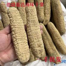 澳洲猪仔黄参 猪仔黄参澳洲黄玉参深海淡干海参精选好货 一手批发
