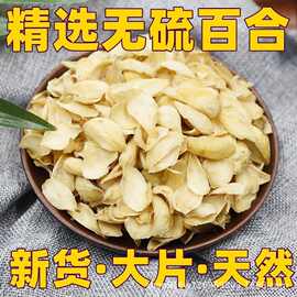 精品优质百合百合干无熏硫干百合批发食用一件代发量大从优