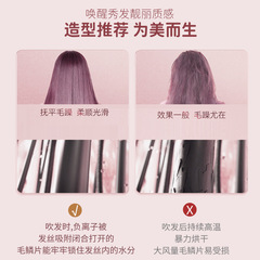 Internet-famous hammer hair dryer, dormitory student electric hair dryer, 800W portable blue light negative ion small-power wholesale