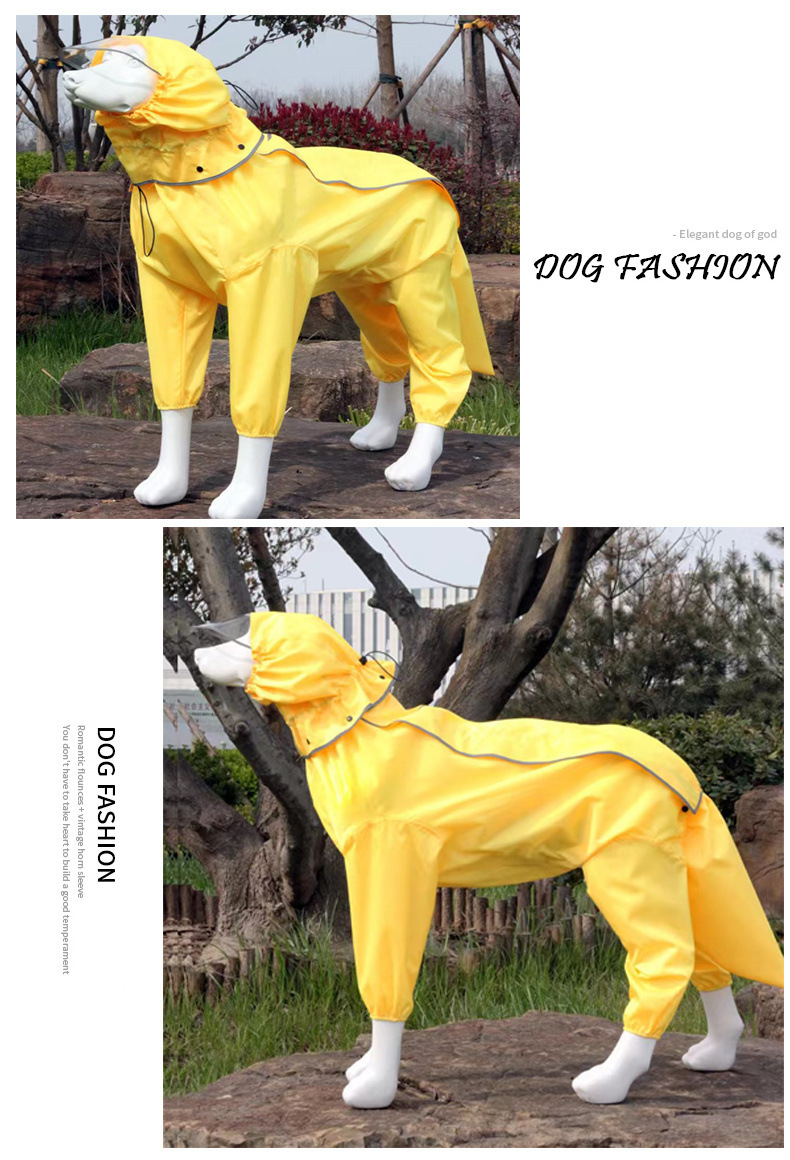 21fcd117-919a-4f53-9c2b-c92706052e19.jpe