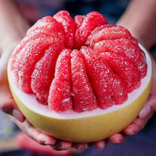 厂家直销福建红心柚子10斤蜜柚新鲜水果当季时令葡萄整箱三红肉叶