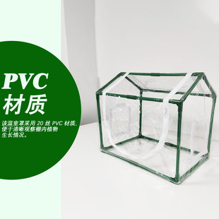 ���ϾGɫȫ��͸������ԭ��Ģ���Nֲ��С�Ͷ���Gֲ���ط�����