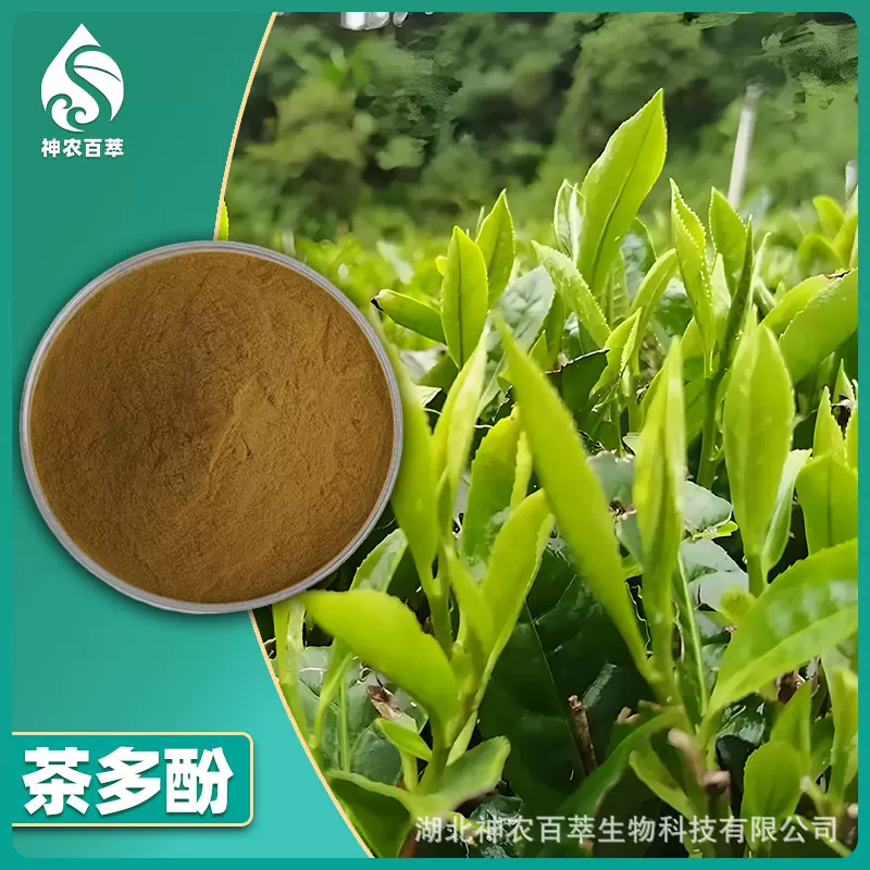 茶多酚98%EGCG50绿茶提取物GTP原料水溶性防哈灵84650-60-2抗氧化