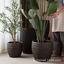 复古镁泥花盆大号浮雕高档室内千年木龙血树百合竹简约落地摆件