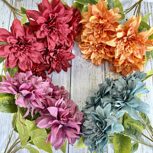 5�^�ϼ����������b廨��c��Y�ò������滨�����Ĕz���߼ٻ�