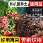 养花多肉种植泥土泥炭