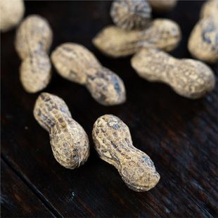 �W�t�������b�[���[�������������ͽ≺ģ��diy�A�Ļ�����ͨ