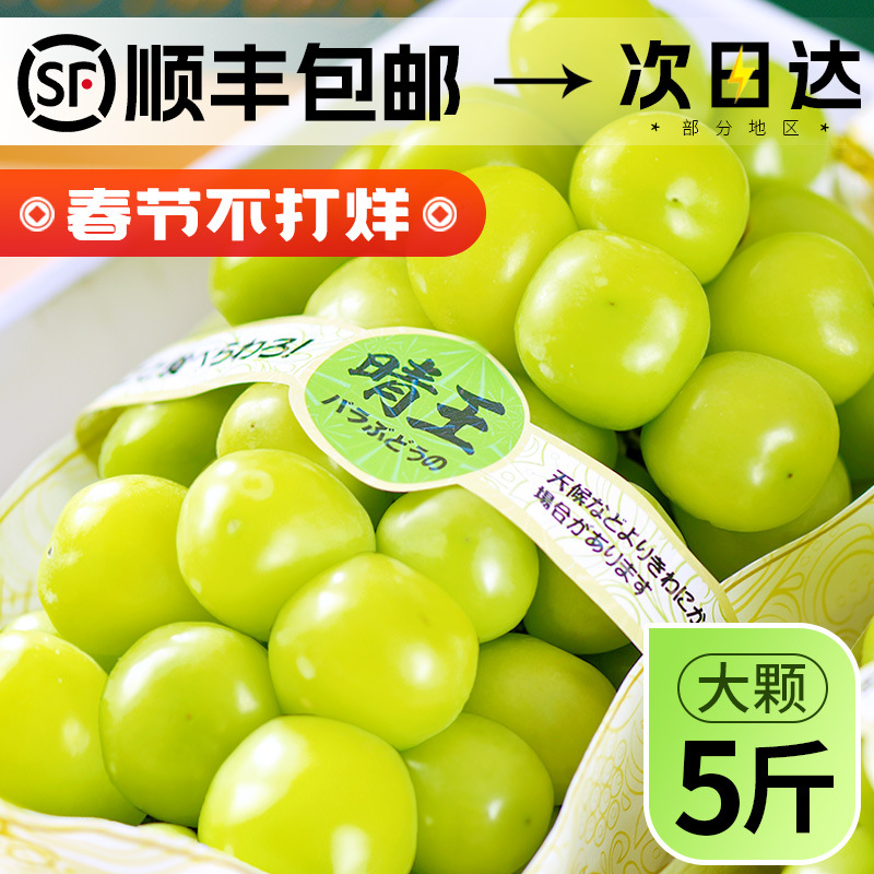 Sunshine Rose Grapes Fresh Fruit 5 Jin Shine Muscat Grapes Seedless Green Grapes Seasonal Box Sui Feng Shipping