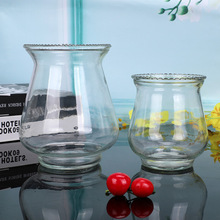 创意新款绿萝水培花盆透明玻璃花瓶水养植物插花器客厅装饰摆件