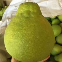 ɳ����÷��ɳ����2.3��÷�h����2.8���������l