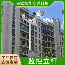 厂家直供道路交通监控立杆 园林景区柱装监控器电子摄像 头监控杆