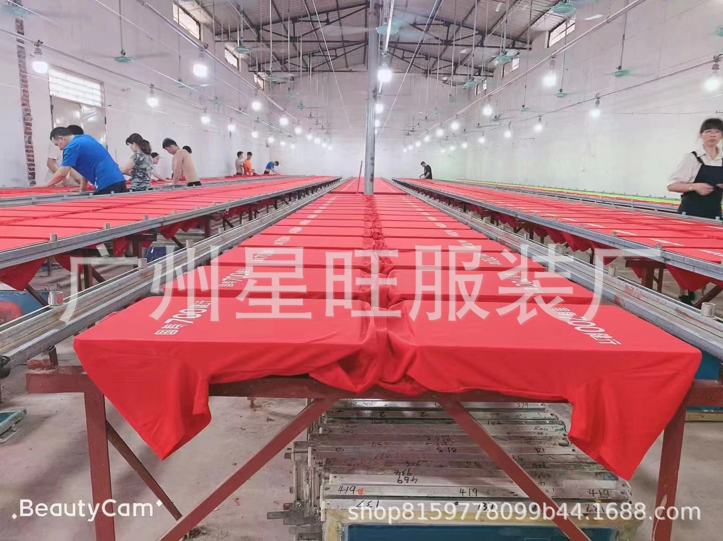 33b408a5a3f58cfa6455a1404525e8