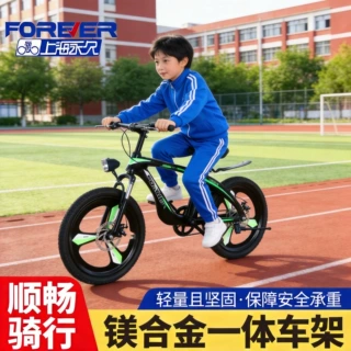 永久牌免安装镁合金山地自行车20寸22寸学生脚踏车双碟刹减震儿童